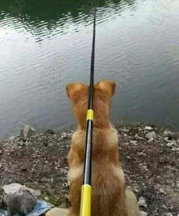 闰月鞋买什么颜色好？