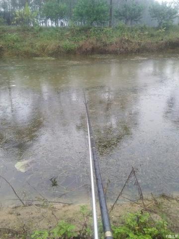 山姆会员店可以带宠物吗？