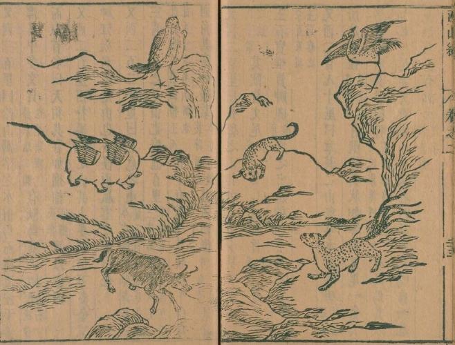 新墨西哥州发现神秘UFO 长有4只“金属