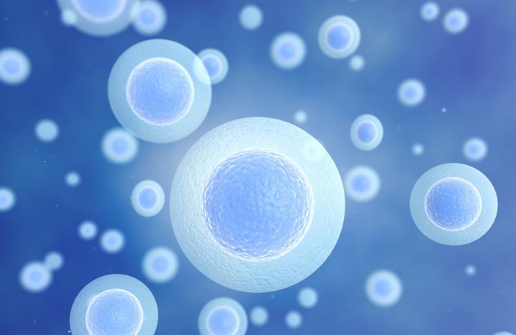 人有三魂七魄，它们在生命终结时究竟如何离开身体？