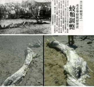 1934年的营口坠龙事件？经过70多年的探索？有何结论