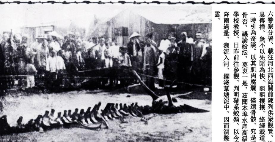 缅甸这个贫穷的国家 为啥中国男人愿意定居（定居缅甸） 