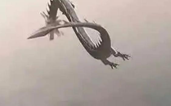 龙是否存在 坠龙照片是哪来的？