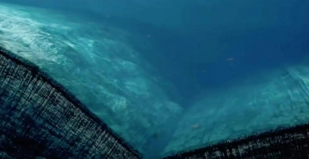 马里亚纳海沟的奇特生物,来自马里亚纳海沟的10 种奇怪生物 