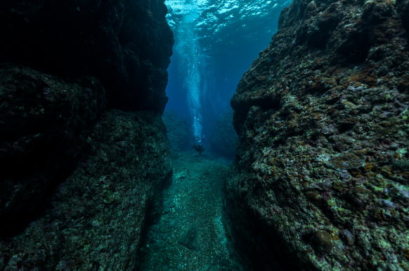 马里亚纳海沟 恐怖,马里亚纳海沟诡异事件 