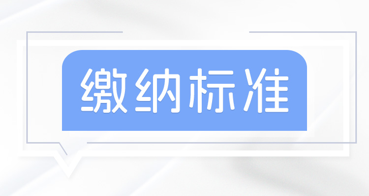 2024年深圳社保个人缴纳费用是多少？深圳社保缴费个人和公司各承担多