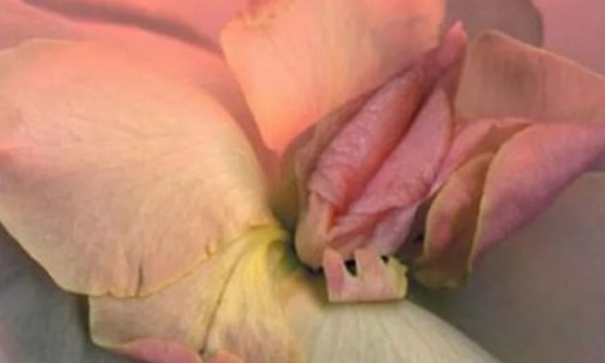 女性阴部真实照片：健康女人真实完美阴道及