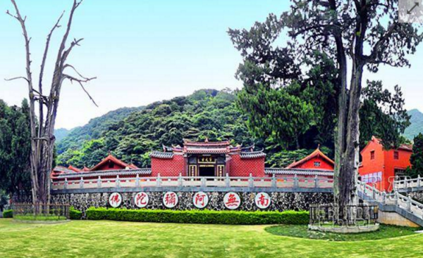 广东古寺神秘生死树竟屹立千年不倒具体在哪里？