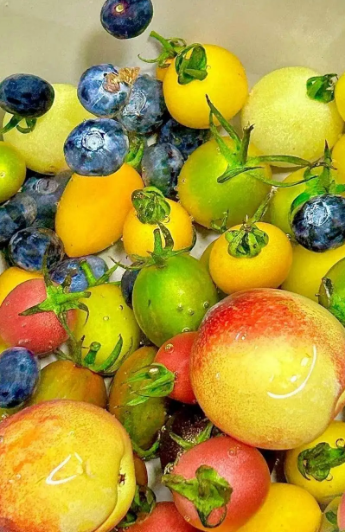 一年每月应季水果时间表大全 各个季节时令