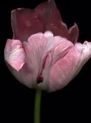 这4个行为，可能正在悄悄伤害“前列腺”，尽早改正