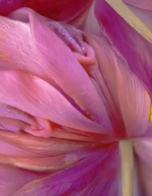 男人问你舒服吗？你一定要这样回答？爱爱生活最实用的技巧