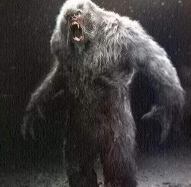 昆仑山布喀达坂峰惊现巨影脚印：6200 