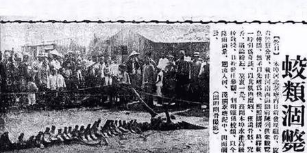 两大筐巴掌大鳞片成硬证，拆解营口坠龙鳞片来源争议