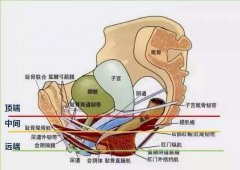 花园干涩在什么情况下是提示有妇科疾病