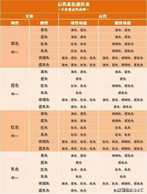 三花和什么颜色的猫配三花拿破仑配什么颜色