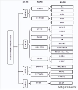 森林生态系统评价的主要标准 森林生态系统服务功能评估规范3