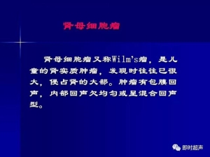 泌尿系统生理病理诊断数据 泌尿系统病超声诊断23