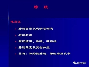 泌尿系统生理病理诊断数据 泌尿系统病超声诊断27