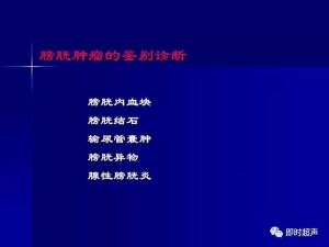 泌尿系统生理病理诊断数据 泌尿系统病超声诊断39