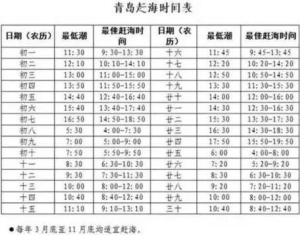 机票比火车票便宜：机票比火车便宜200多(58)
