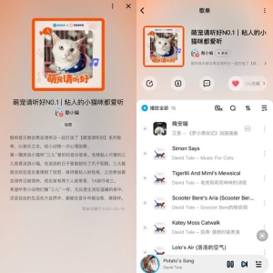 萌宠治愈原声中的音乐，酷狗上线铲屎官必备爱宠专区(2)