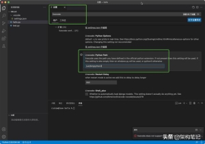 vscode使用教程python vscode中LiveCodeforpython插件的安装和使用6