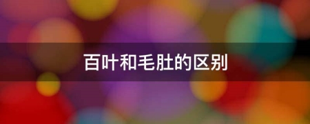 毛肚和百叶的价格(百叶和毛肚的区别图片)