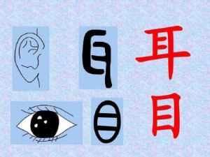 快速记住孩字象形字 孩子最容易学会的象形字合集12