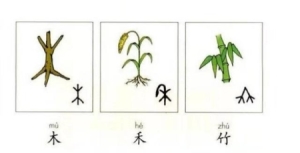 快速记住孩字象形字 孩子最容易学会的象形字合集3