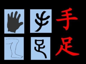 快速记住孩字象形字 孩子最容易学会的象形字合集15