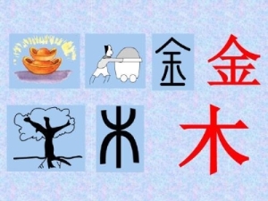 快速记住孩字象形字 孩子最容易学会的象形字合集23
