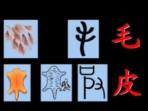 快速记住孩字象形字 孩子最容易学会的象形字合集28