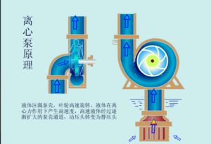 电路系统图全套讲解 电气人必懂的45个系统动画工作原理(11)