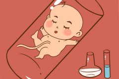 试管婴儿需要什么条件才可以做试管婴儿可以