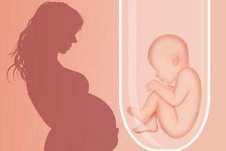 试管婴儿需要什么条件才可以做 试管婴儿可以选择双胞胎吗