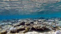 马里亚纳海沟的海底状况：世界上最深的海沟似乎正在吞噬大量海水