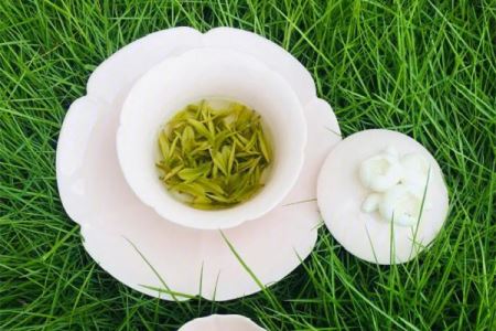 安吉白茶的功效和作用 安吉白茶可以减肥吗