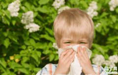 小宝宝容易花粉过敏吗 宝宝花粉过敏安空气净化气管用吗