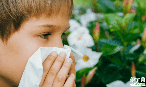 小宝宝容易花粉过敏吗 宝宝花粉过敏安空气净化气管用吗3