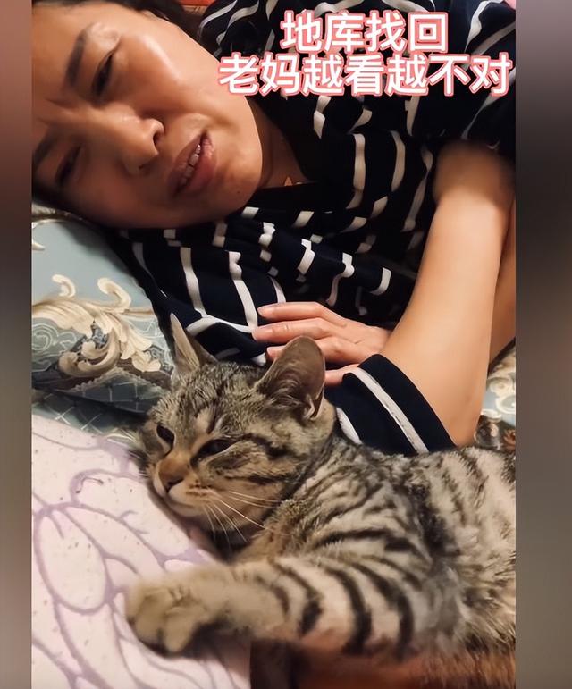 猫咪走丢后自己是怎么找回来的 妈妈5天内找回两只猫(5)