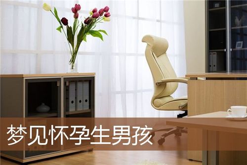 孕妇梦见自己生的男孩什么意思（孕妇梦见生男孩是什么意思）