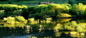 承德旅游攻略必玩的景点（承德十大旅游景点排名）