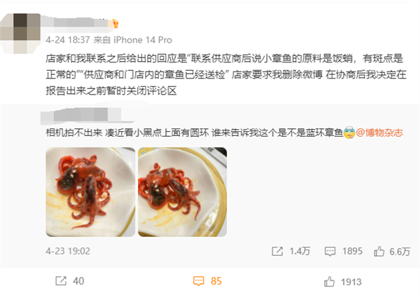 寿司店疑现被煮熟蓝环章鱼 店家要求爆料网友删博：市监局已介入