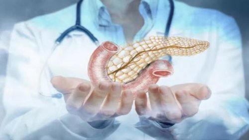 胰腺为何被称为生命线，保护胰腺要怎么做