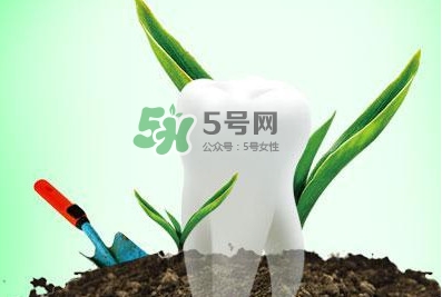 种植牙多少钱一颗？为什么种植牙很贵