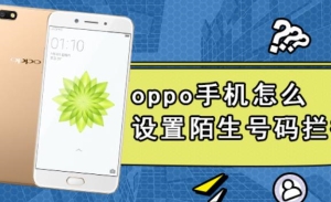 OPPO手机怎么开多个窗口？OPPO手机怎么设置来电拦截