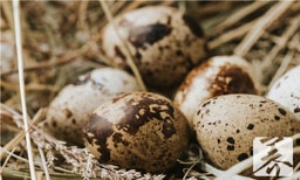 胚优的功效和作用