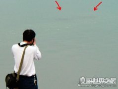 在湖光岩里也有一个神秘的湖光岩水怪存在