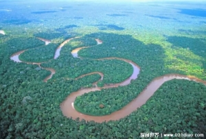 为何亚马逊河没有一座桥梁横跨 水系复杂(水流量较大)