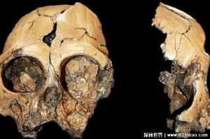 在菲律宾发现新的人类物种 吕宋智人身材矮小(历史悠久)